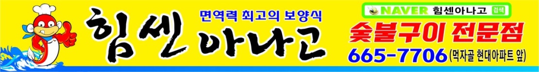 힘센아나고