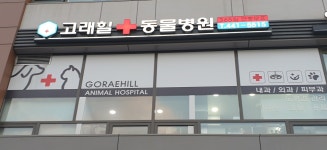 고래힐동물병원