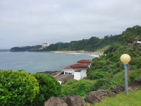 제주60바3586호