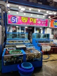 신동해수산