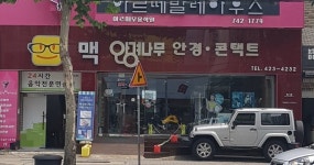 맥 안경나무