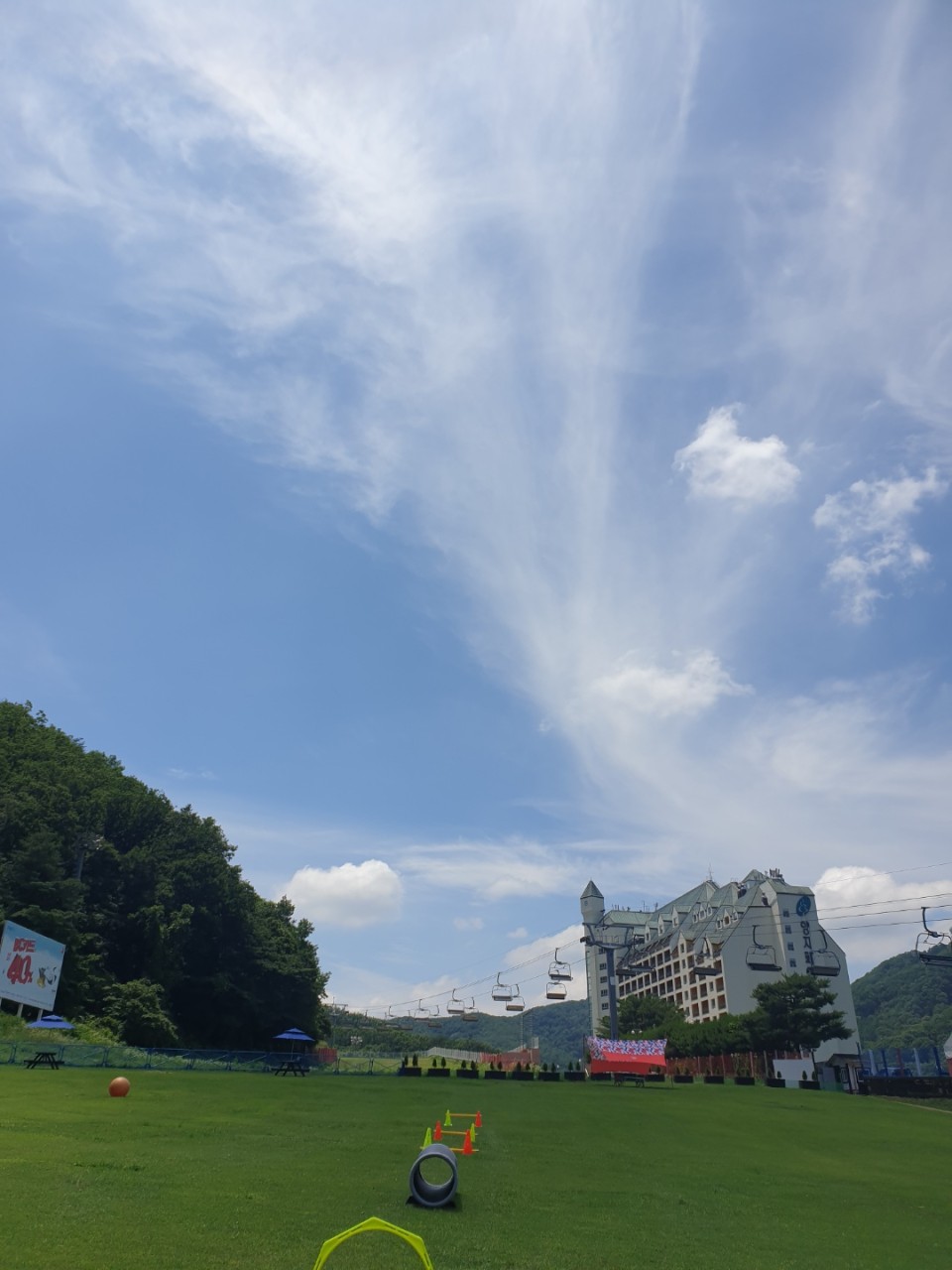 양지파인리조트