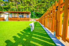 신나개애견펜션