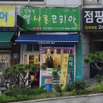 엘샤론코리아