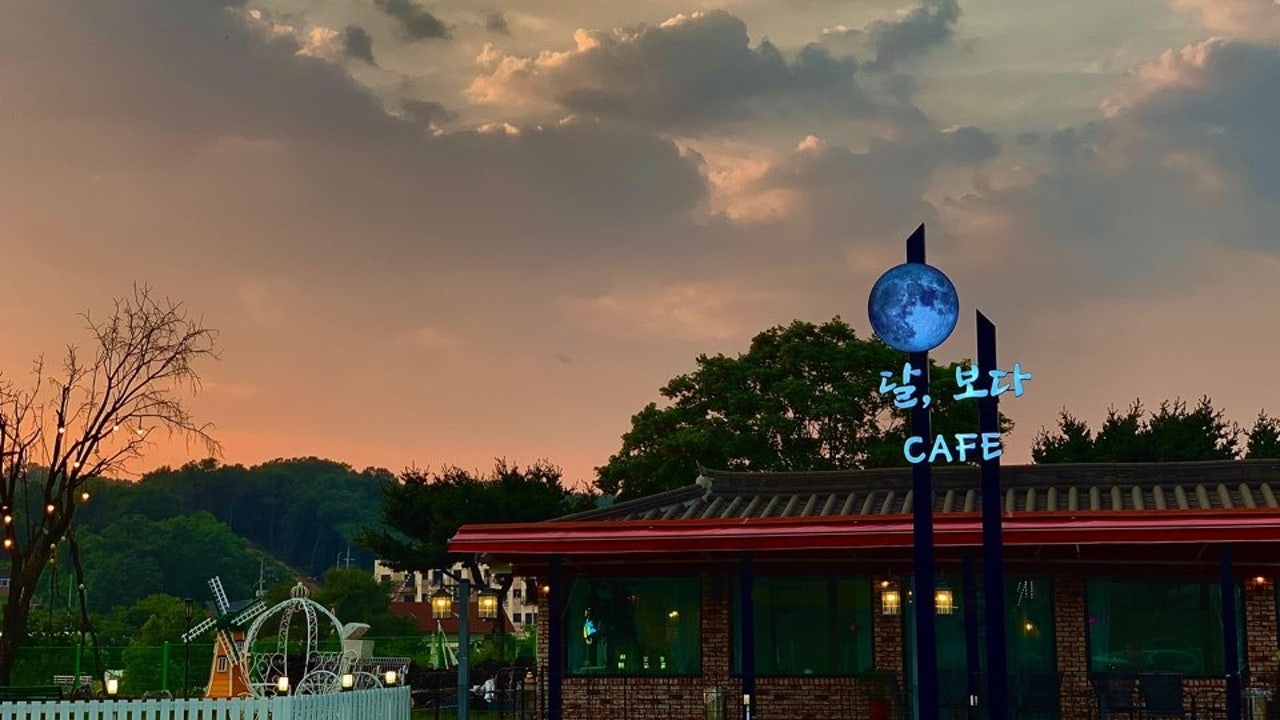 달, 보다