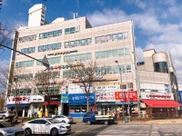 늘푸른경희대태권도장