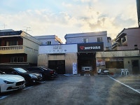 W모터스
