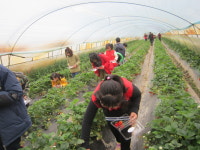 포전농촌체험휴양마을