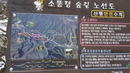 밤나무민박