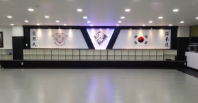 늘푸른경희대태권도장