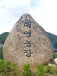 대영농장 계란