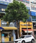 메가MGC커피 의정부금오점