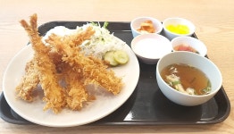 돈가츠도다