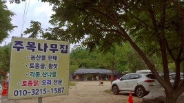 주목나무집