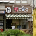 핫Dog 애견미용