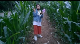 옥수수미로아홉마지기체험마을