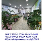 덕산종합부동산공인중개사사무소