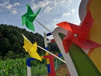 옥수수미로아홉마지기체험마을