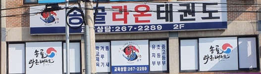송골라온태권도