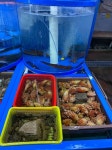 대박수산