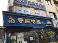 영등포동물병원