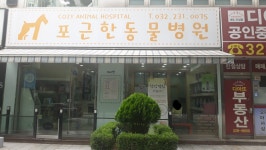 포근한동물병원