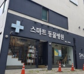 스마트동물병원