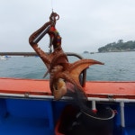 해동호