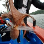 해동호