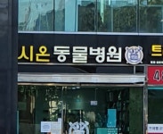 시온동물병원