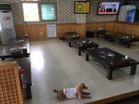 대감님댁푸줏간