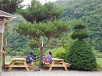 버덩말민박
