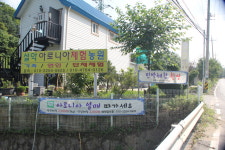 설악아로니아체험농원