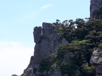 홍도유람선협업