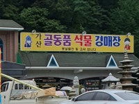 고연회골동품석물경매장