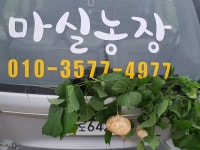 남해마실농장