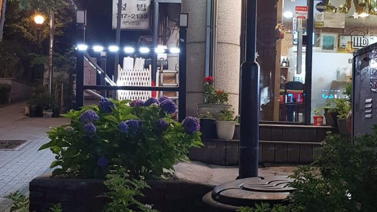 웬디옛날통닭