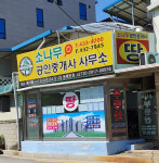 소나무공인중개사사무소