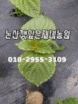 은재네농원