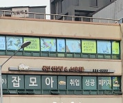 잡모아 서부지점