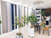 햇살품은창 커튼 블라인드 안성점