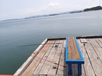 영목수산좌대낚시