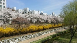 월드공인중개사사무소