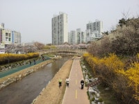월드공인중개사사무소