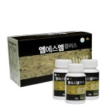 지에스엘