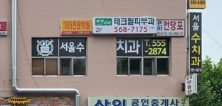 서울수치과의원