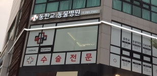 365동판교동물병원