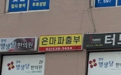 강남은마파출부