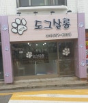 박선생도그살롱
