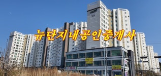 뉴단지내공인중개사사무소